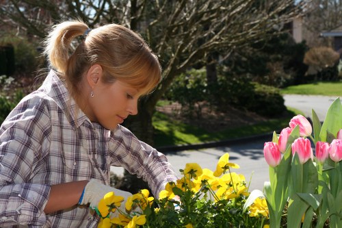 Worker inspecting and maintaining gardening equipment